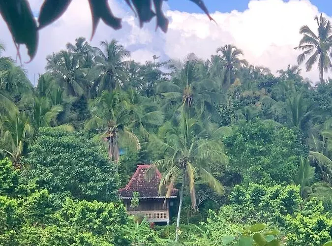 Kepuh Vakantiehuis Kubutambahan (Bali)